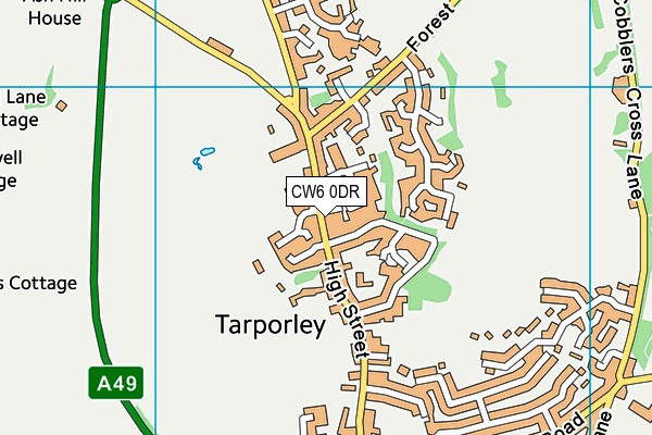 CW6 0DR map - OS VectorMap District (Ordnance Survey) CW6 0DR map - OS VectorMap District (Ordnance Survey)