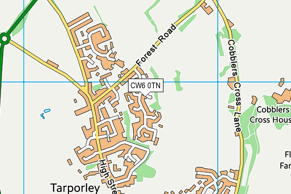 CW6 0TN map - OS VectorMap District (Ordnance Survey) CW6 0TN map - OS VectorMap District (Ordnance Survey)