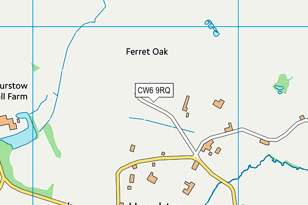 CW6 9RQ map - OS VectorMap District (Ordnance Survey) CW6 9RQ map - OS VectorMap District (Ordnance Survey)