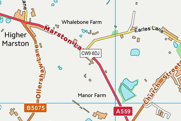 CW9 6DJ map - OS VectorMap District (Ordnance Survey) CW9 6DJ map - OS VectorMap District (Ordnance Survey)