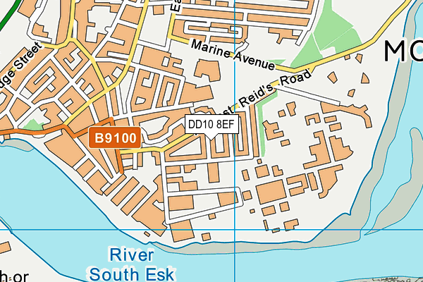 DD10 8EF map - OS VectorMap District (Ordnance Survey) DD10 8EF map - OS VectorMap District (Ordnance Survey)