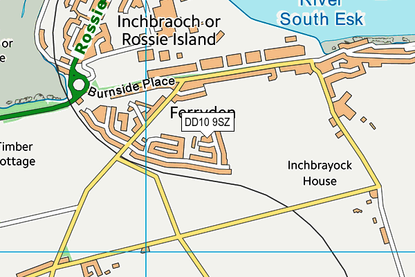 DD10 9SZ map - OS VectorMap District (Ordnance Survey) DD10 9SZ map - OS VectorMap District (Ordnance Survey)
