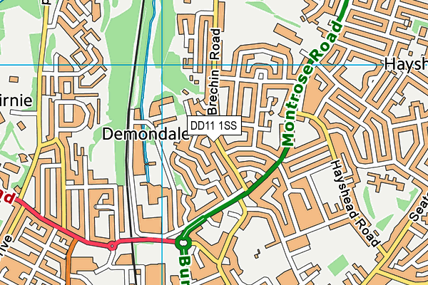 DD11 1SS map - OS VectorMap District (Ordnance Survey)