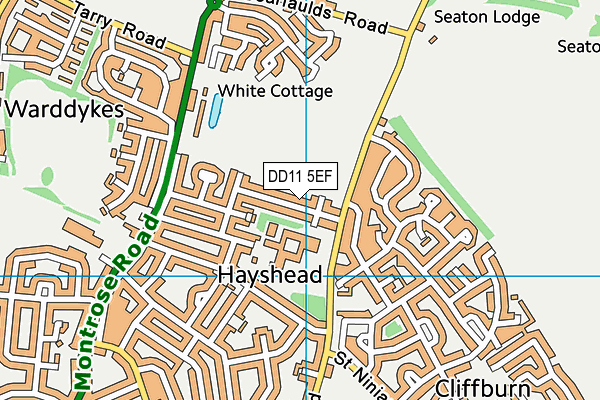 DD11 5EF map - OS VectorMap District (Ordnance Survey) DD11 5EF map - OS VectorMap District (Ordnance Survey)