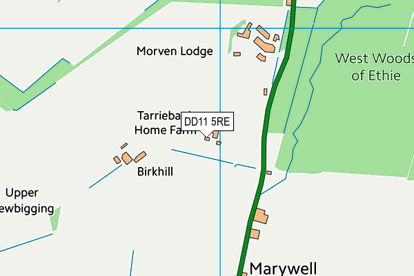 DD11 5RE map - OS VectorMap District (Ordnance Survey) DD11 5RE map - OS VectorMap District (Ordnance Survey)