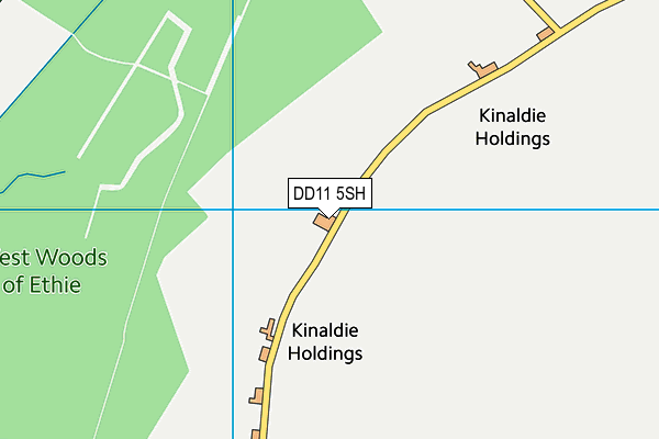 DD11 5SH map - OS VectorMap District (Ordnance Survey) DD11 5SH map - OS VectorMap District (Ordnance Survey)