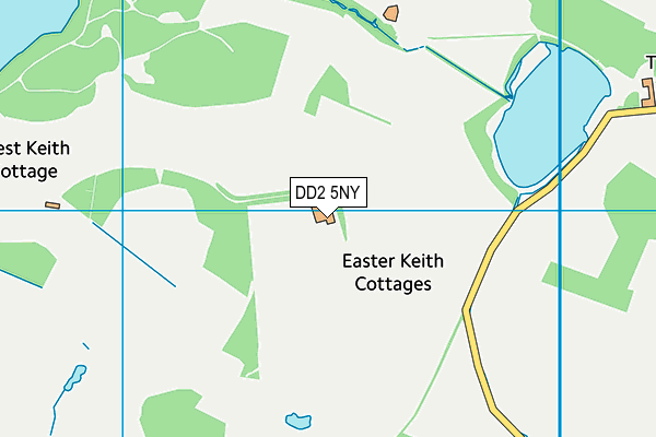 DD2 5NY map - OS VectorMap District (Ordnance Survey) DD2 5NY map - OS VectorMap District (Ordnance Survey)