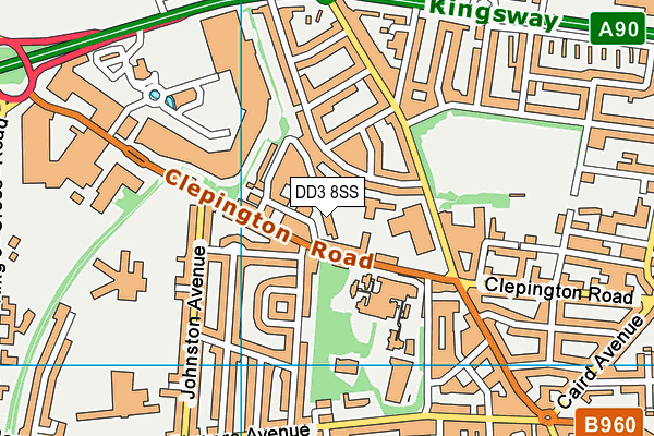 DD3 8SS map - OS VectorMap District (Ordnance Survey) DD3 8SS map - OS VectorMap District (Ordnance Survey)