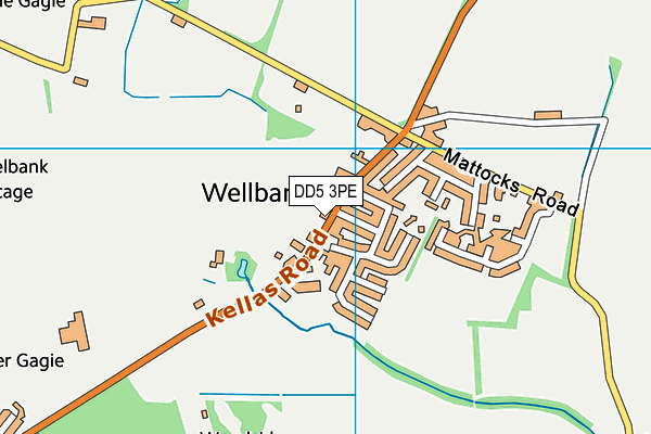 DD5 3PE map - OS VectorMap District (Ordnance Survey) DD5 3PE map - OS VectorMap District (Ordnance Survey)