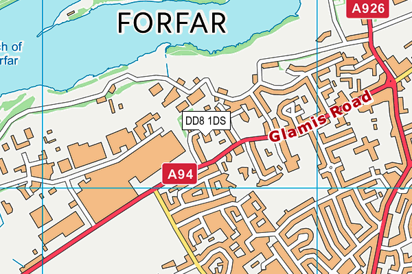 DD8 1DS map - OS VectorMap District (Ordnance Survey) DD8 1DS map - OS VectorMap District (Ordnance Survey)