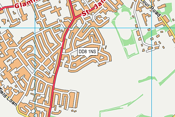 DD8 1NS map - OS VectorMap District (Ordnance Survey) DD8 1NS map - OS VectorMap District (Ordnance Survey)