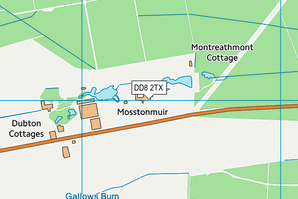 DD8 2TX map - OS VectorMap District (Ordnance Survey) DD8 2TX map - OS VectorMap District (Ordnance Survey)