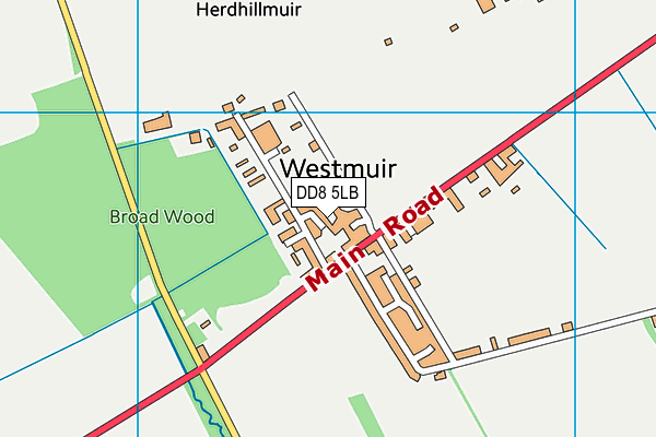 DD8 5LB map - OS VectorMap District (Ordnance Survey) DD8 5LB map - OS VectorMap District (Ordnance Survey)