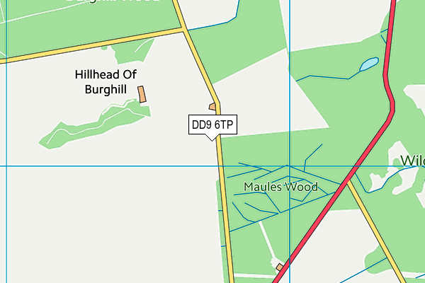 DD9 6TP map - OS VectorMap District (Ordnance Survey) DD9 6TP map - OS VectorMap District (Ordnance Survey)