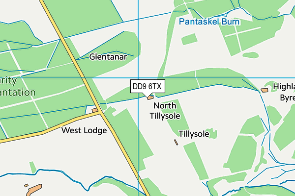 DD9 6TX map - OS VectorMap District (Ordnance Survey)