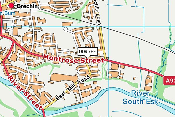 DD9 7EF map - OS VectorMap District (Ordnance Survey)