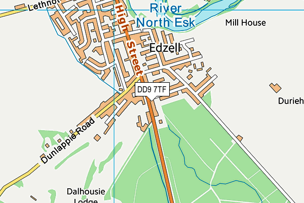 DD9 7TF map - OS VectorMap District (Ordnance Survey)