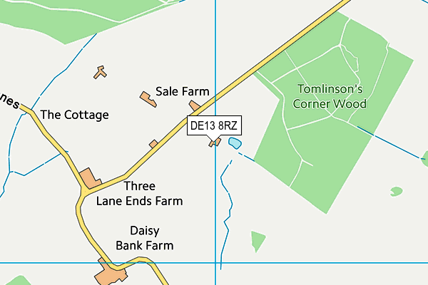 DE13 8RZ map - OS VectorMap District (Ordnance Survey)