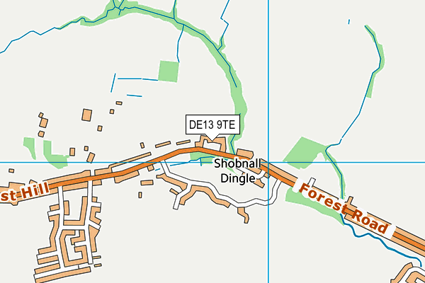 DE13 9TE map - OS VectorMap District (Ordnance Survey)