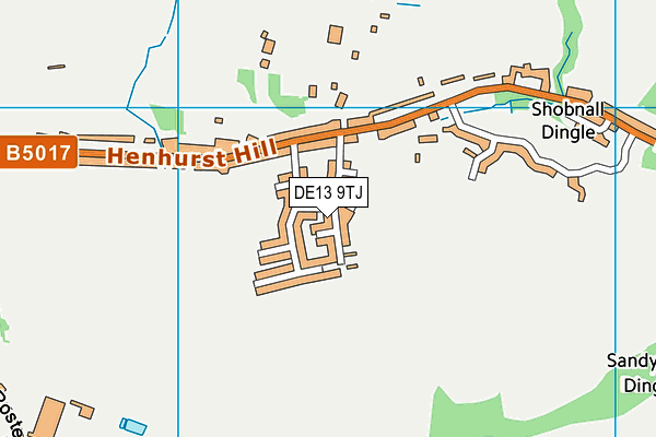 DE13 9TJ map - OS VectorMap District (Ordnance Survey) DE13 9TJ map - OS VectorMap District (Ordnance Survey)