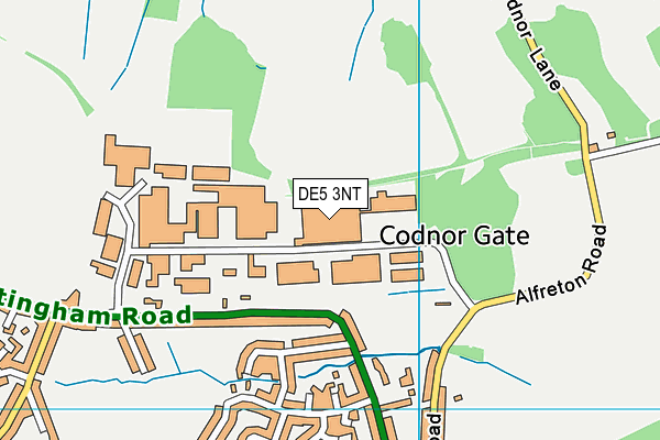 DE5 3NT map - OS VectorMap District (Ordnance Survey) DE5 3NT map - OS VectorMap District (Ordnance Survey)