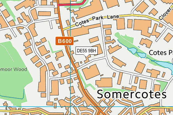 DE55 9BH map - OS VectorMap District (Ordnance Survey) DE55 9BH map - OS VectorMap District (Ordnance Survey)