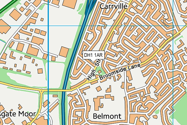 DH1 1AR map - OS VectorMap District (Ordnance Survey) DH1 1AR map - OS VectorMap District (Ordnance Survey)