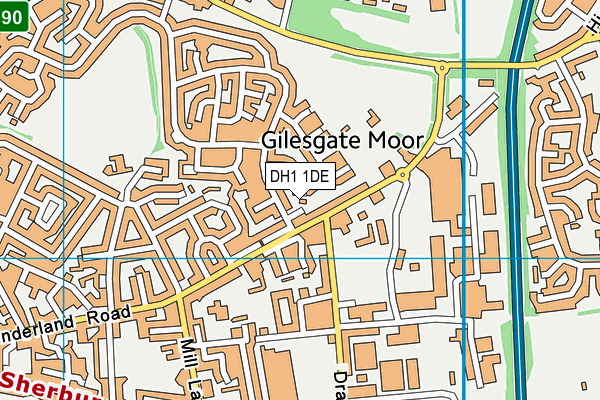 DH1 1DE map - OS VectorMap District (Ordnance Survey) DH1 1DE map - OS VectorMap District (Ordnance Survey)
