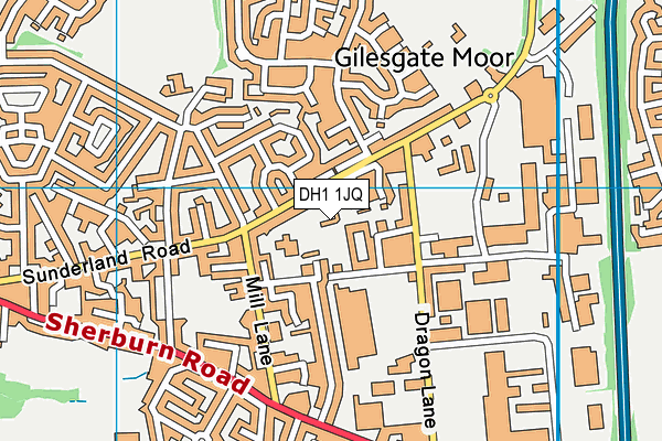 DH1 1JQ map - OS VectorMap District (Ordnance Survey) DH1 1JQ map - OS VectorMap District (Ordnance Survey)