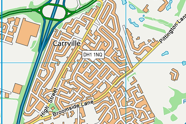 DH1 1NQ map - OS VectorMap District (Ordnance Survey)