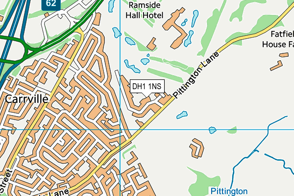 DH1 1NS map - OS VectorMap District (Ordnance Survey) DH1 1NS map - OS VectorMap District (Ordnance Survey)
