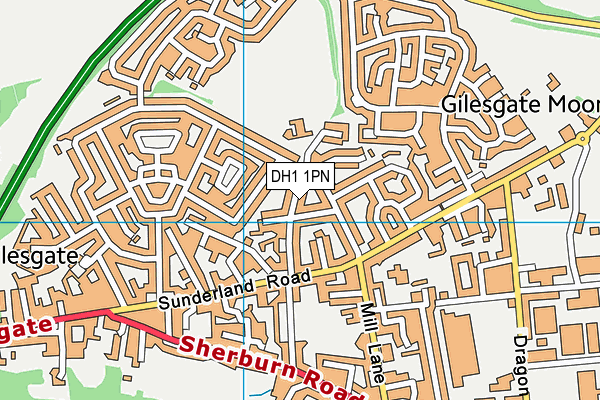 DH1 1PN map - OS VectorMap District (Ordnance Survey) DH1 1PN map - OS VectorMap District (Ordnance Survey)
