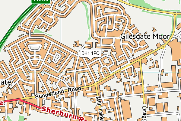 DH1 1PQ map - OS VectorMap District (Ordnance Survey) DH1 1PQ map - OS VectorMap District (Ordnance Survey)