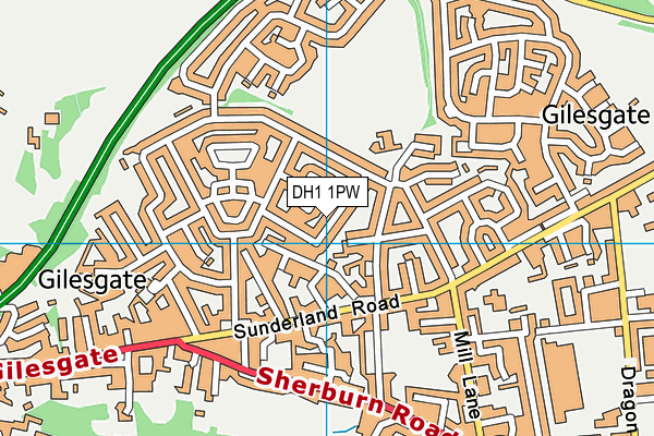 DH1 1PW map - OS VectorMap District (Ordnance Survey) DH1 1PW map - OS VectorMap District (Ordnance Survey)