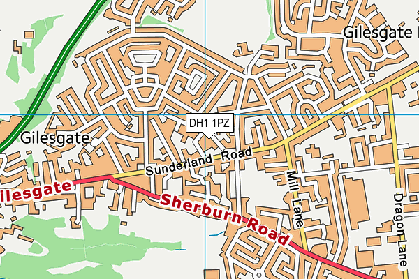 DH1 1PZ map - OS VectorMap District (Ordnance Survey) DH1 1PZ map - OS VectorMap District (Ordnance Survey)