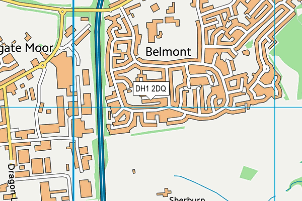 DH1 2DQ map - OS VectorMap District (Ordnance Survey) DH1 2DQ map - OS VectorMap District (Ordnance Survey)