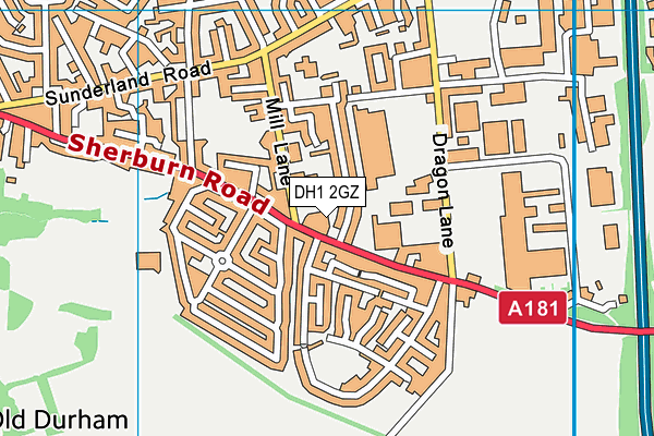 DH1 2GZ map - OS VectorMap District (Ordnance Survey) DH1 2GZ map - OS VectorMap District (Ordnance Survey)