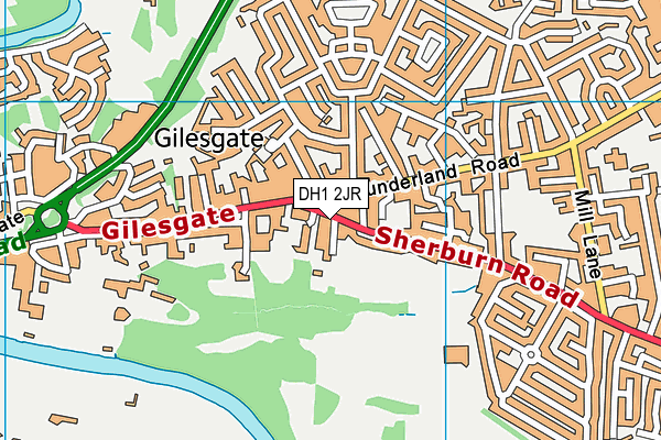 DH1 2JR map - OS VectorMap District (Ordnance Survey) DH1 2JR map - OS VectorMap District (Ordnance Survey)