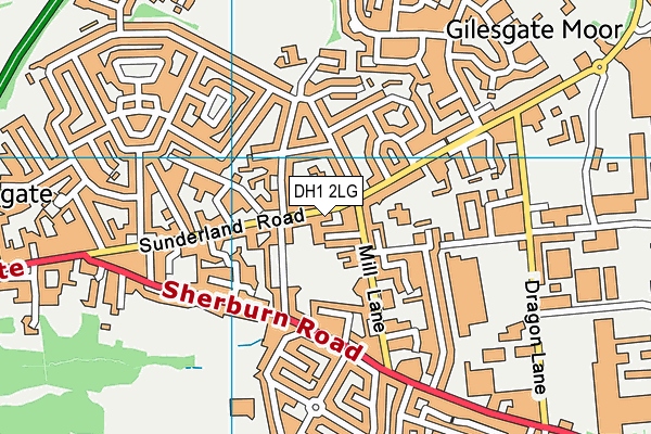 DH1 2LG map - OS VectorMap District (Ordnance Survey) DH1 2LG map - OS VectorMap District (Ordnance Survey)