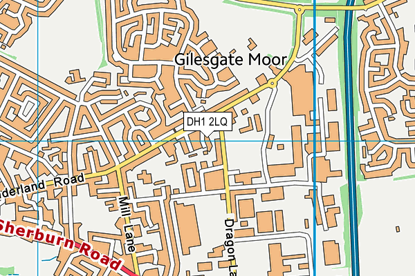 DH1 2LQ map - OS VectorMap District (Ordnance Survey) DH1 2LQ map - OS VectorMap District (Ordnance Survey)