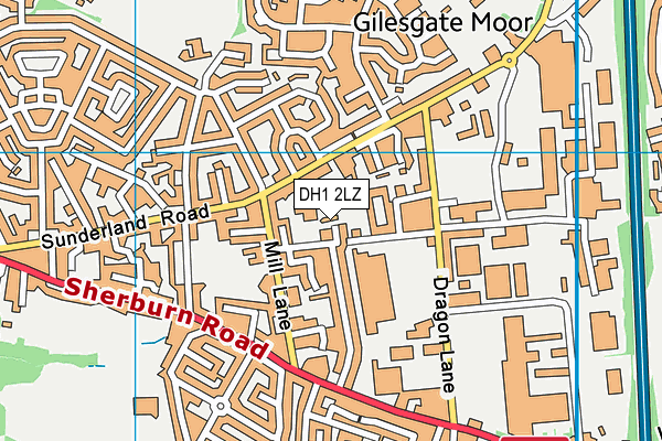 DH1 2LZ map - OS VectorMap District (Ordnance Survey) DH1 2LZ map - OS VectorMap District (Ordnance Survey)