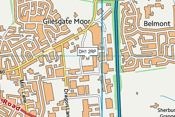 DH1 2RP map - OS VectorMap District (Ordnance Survey) DH1 2RP map - OS VectorMap District (Ordnance Survey)
