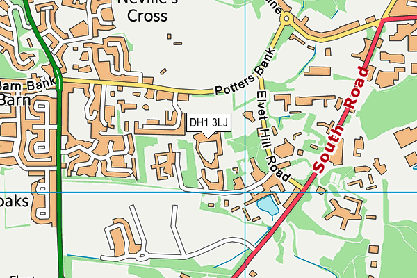 DH1 3LJ map - OS VectorMap District (Ordnance Survey) DH1 3LJ map - OS VectorMap District (Ordnance Survey)