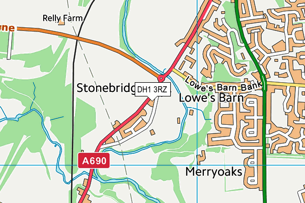 DH1 3RZ map - OS VectorMap District (Ordnance Survey)