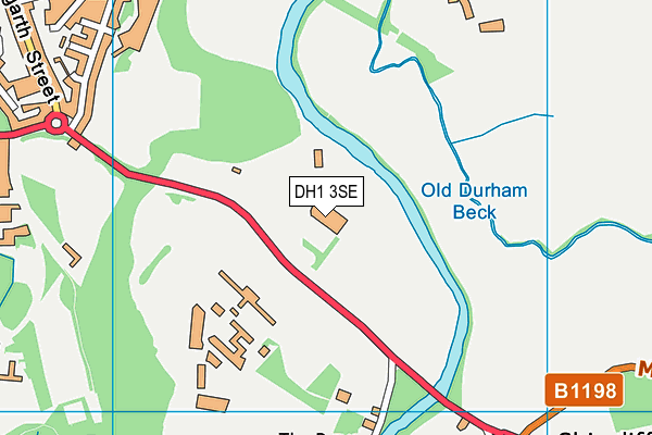 DH1 3SE map - OS VectorMap District (Ordnance Survey) DH1 3SE map - OS VectorMap District (Ordnance Survey)