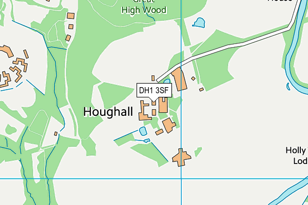 DH1 3SF map - OS VectorMap District (Ordnance Survey)
