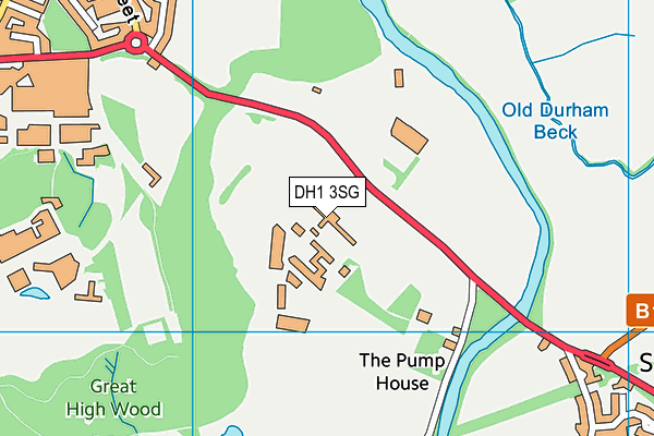 DH1 3SG map - OS VectorMap District (Ordnance Survey) DH1 3SG map - OS VectorMap District (Ordnance Survey)