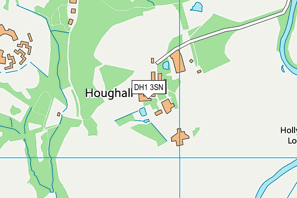 DH1 3SN map - OS VectorMap District (Ordnance Survey) DH1 3SN map - OS VectorMap District (Ordnance Survey)
