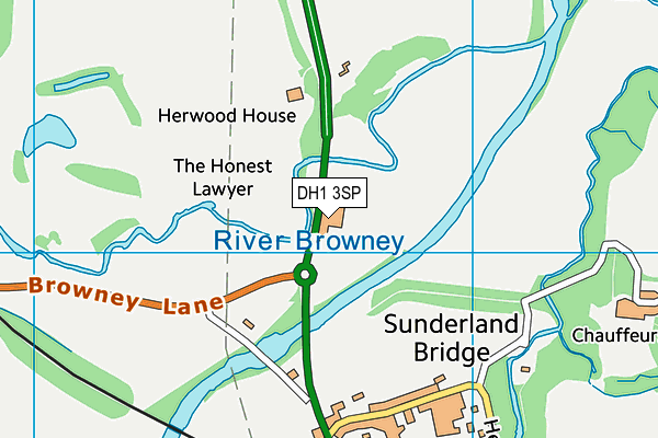 DH1 3SP map - OS VectorMap District (Ordnance Survey) DH1 3SP map - OS VectorMap District (Ordnance Survey)