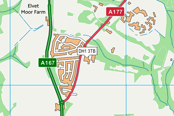 DH1 3TB map - OS VectorMap District (Ordnance Survey) DH1 3TB map - OS VectorMap District (Ordnance Survey)